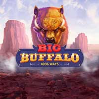 Big Buffalo™
